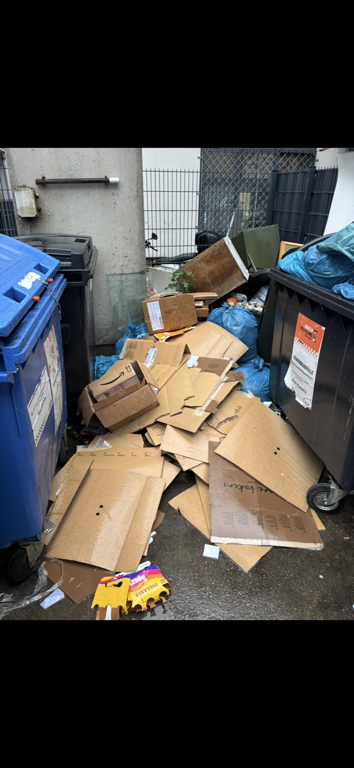 Müllplatz vor der Räumung: Kartons und Sperrmüll zwischen den Abfallbehältern.